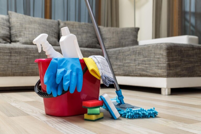 Premium Cleaning Services